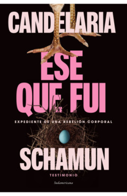 Ese que fui