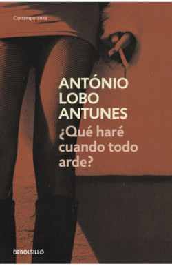 ¿Qué haré cuando todo arde?