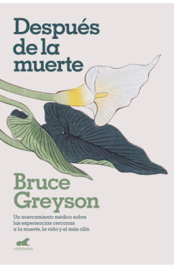 Después de la muerte: Un acercamiento...