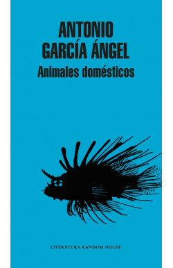 Animales domésticos