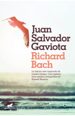 Juan Salvador Gaviota