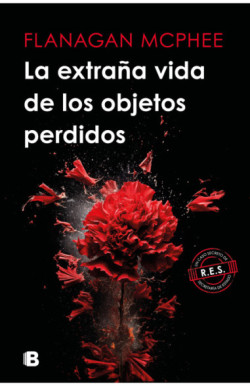 La extraña vida de los objetos perdidos