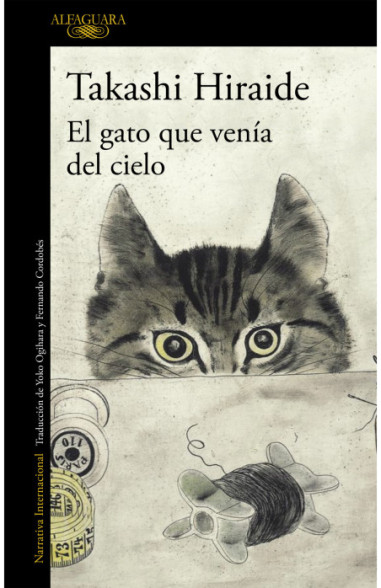 El gato que venía del cielo