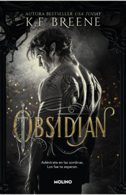 Los fae de las sombras 1 - Obsidian