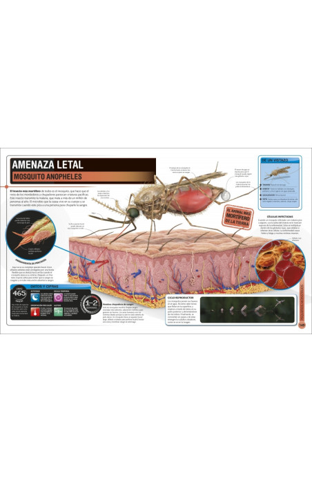 Sureri Insect Superinsectos (Súper) | Penguin Libros
