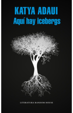 Aquí hay icebergs